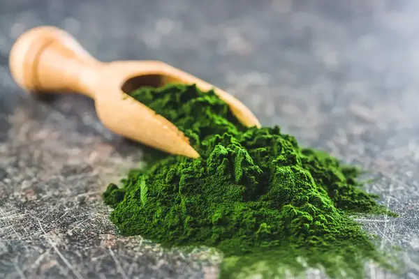 chlorella_mb